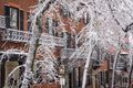 Beacon Hill Snowfall print