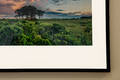 Framed Archival Print