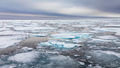 Pack Ice print