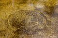 Golden Circles print