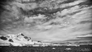 Cuverville Island