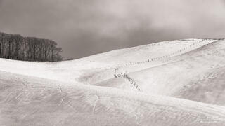 Divided Hill