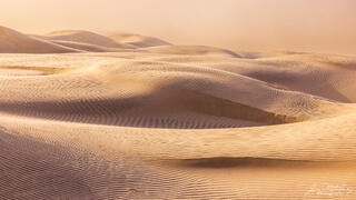 Sandstorm