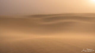 Windswept Dunes
