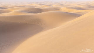 Dunes in the Wind