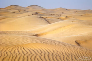 Ridges in the Sand