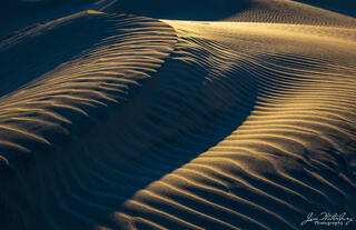 Ripples in the Sand