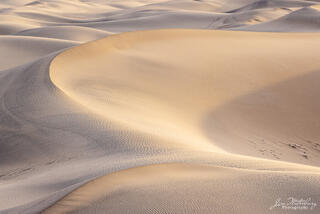 Curves in the Sand