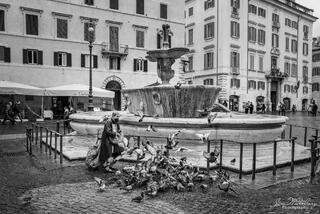 Feeding the Pigeons