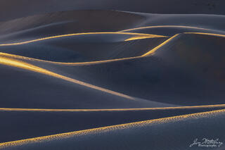 Shadow & Light