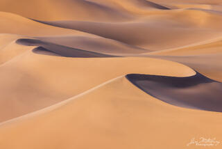Dune Curves