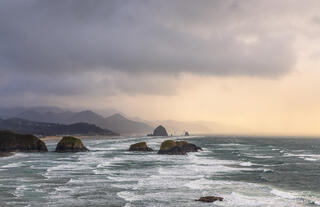 West Coast Surf