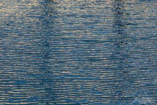 Blue Ripples at Indian Harbor