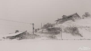 Weathering the Storm