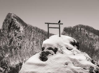 Torii Gate, Yoichi