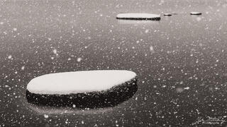 Stones in Falling Snow