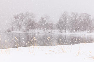 Snow Globe