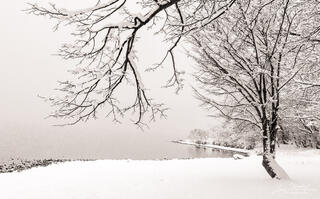 Winter on the Lake