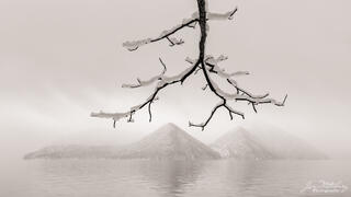 Snowy Mist