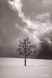 Stormy Skies, Biei