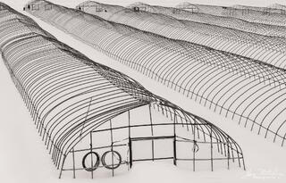 Greenhouses in Snow