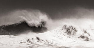 Wild Surf