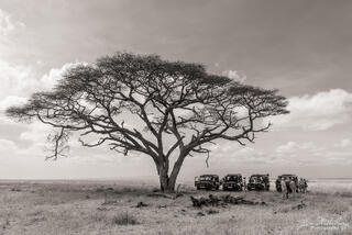 Breakfast in Amboseli