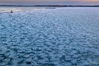 Iced In