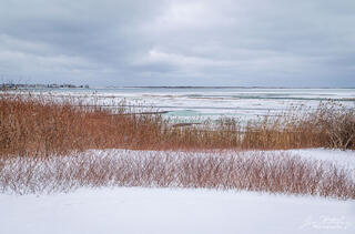 East Creek Ice