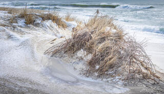 Snowy Dunes