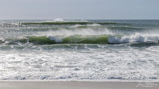 Smith's Point Surf