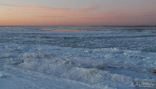 Sea Ice at Sunset
