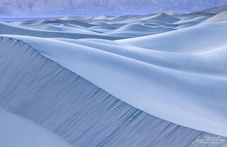 Baby Blue Dunes