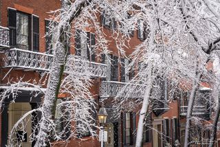 Beacon Hill Snowfall