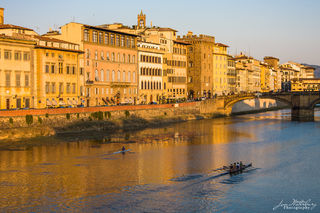 Shells on the Arno