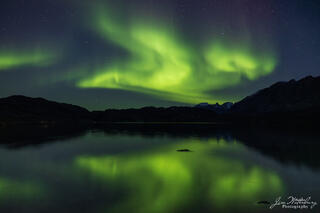 Dancing Lights
