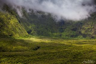 Maui Green