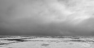 Arctic Sea