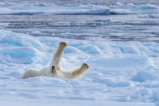 Polar Stretch