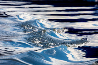Scalloped Water