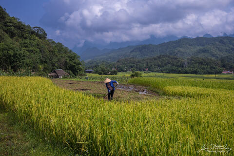 Hill Tribes of North Vietnam