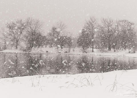 Winter Zen