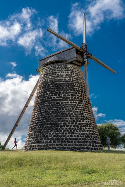 Sugar Mill print