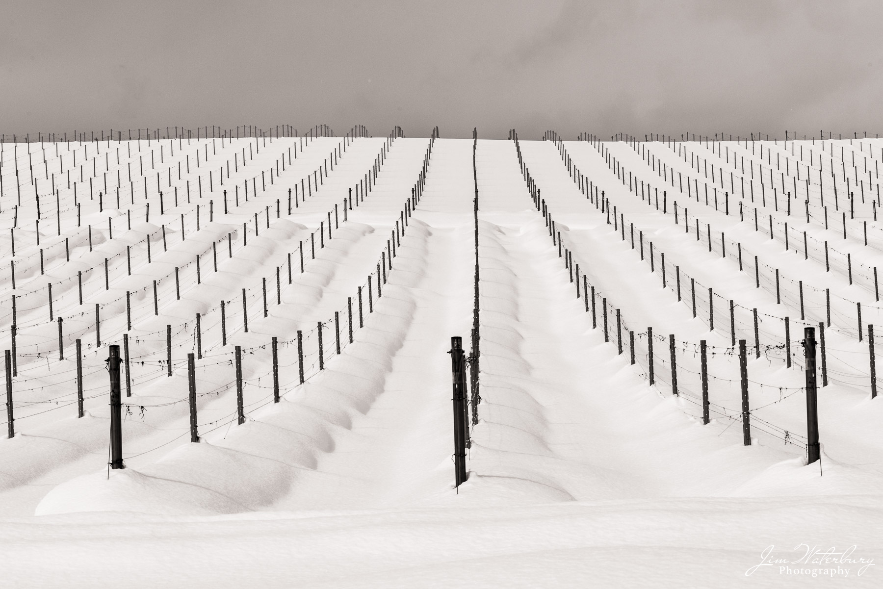 Vineyard in Winter A hillside covered in snow leaves evidence of an active vineyard in warmer seasons
