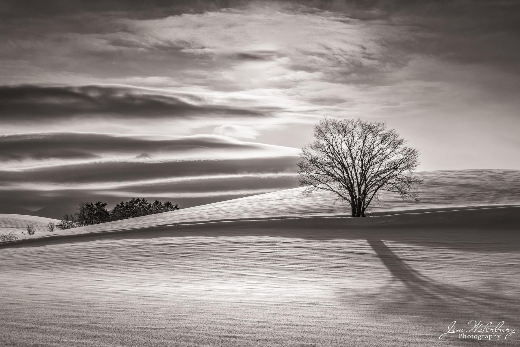 Clouds & Tree Tree on a snow-covered field, standing in front of dramatic winer cloud formations near Biei, Hokkaido