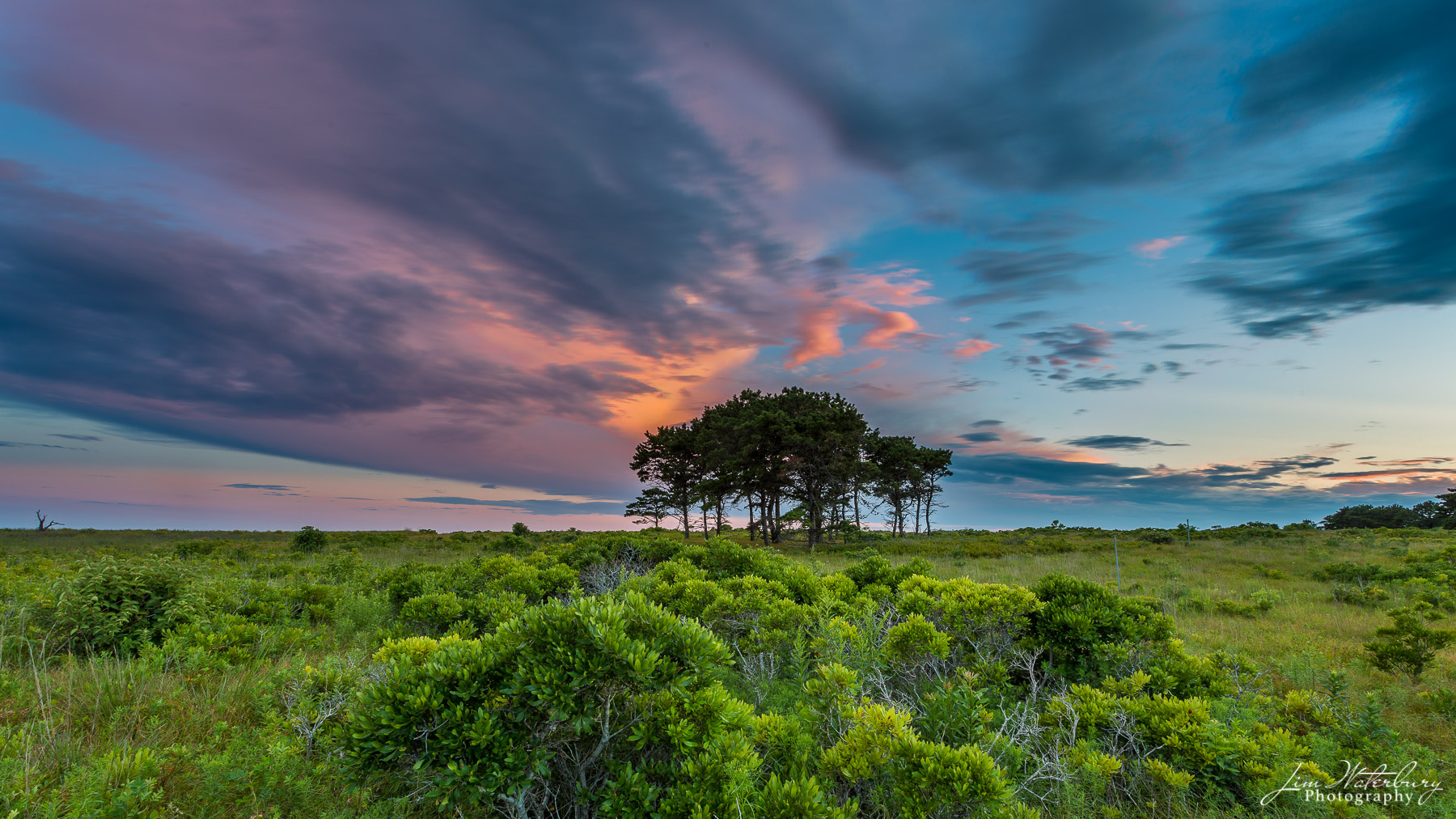 A group of trees is framed by dramatic and colorful skies at twilight, as seen from Barrett Farm Road, near Madaket, Nantucket...