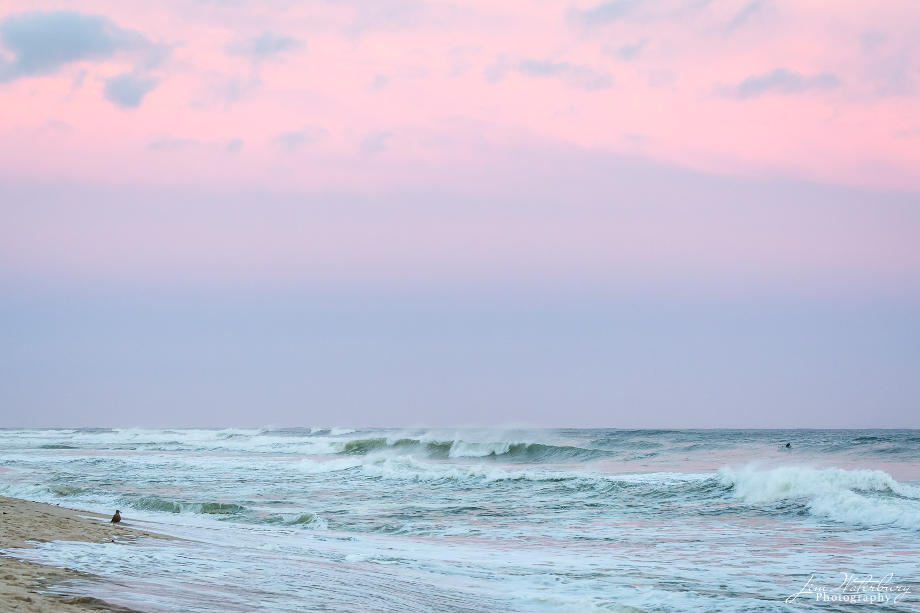 A single surfer at Cisco Beach waits for a wave as a lone bird watches under a late evening pastel sky.