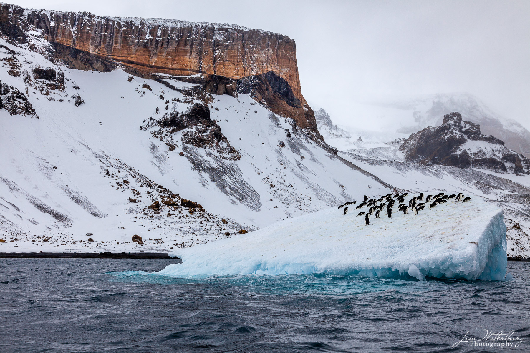 Penguin Hangout Penguins gather on an iceberg floating off of Brown Bluff, in the Antarctic Peninsula, on a stormy day.