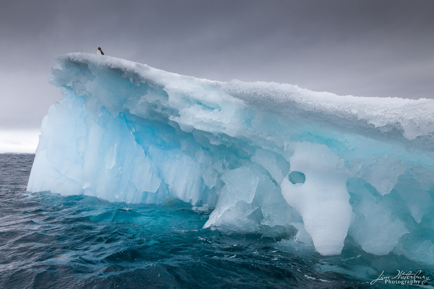 Lone Penguin A lone penguin stands atop an iceberg in the crystal clear blue waters of Antarctica.