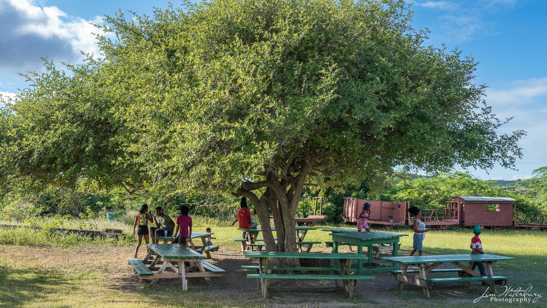 The Gathering Spot Children play around picnic tables and an old raillroad car at Betty's Hope, site of one of the earliest sugar plantations on...